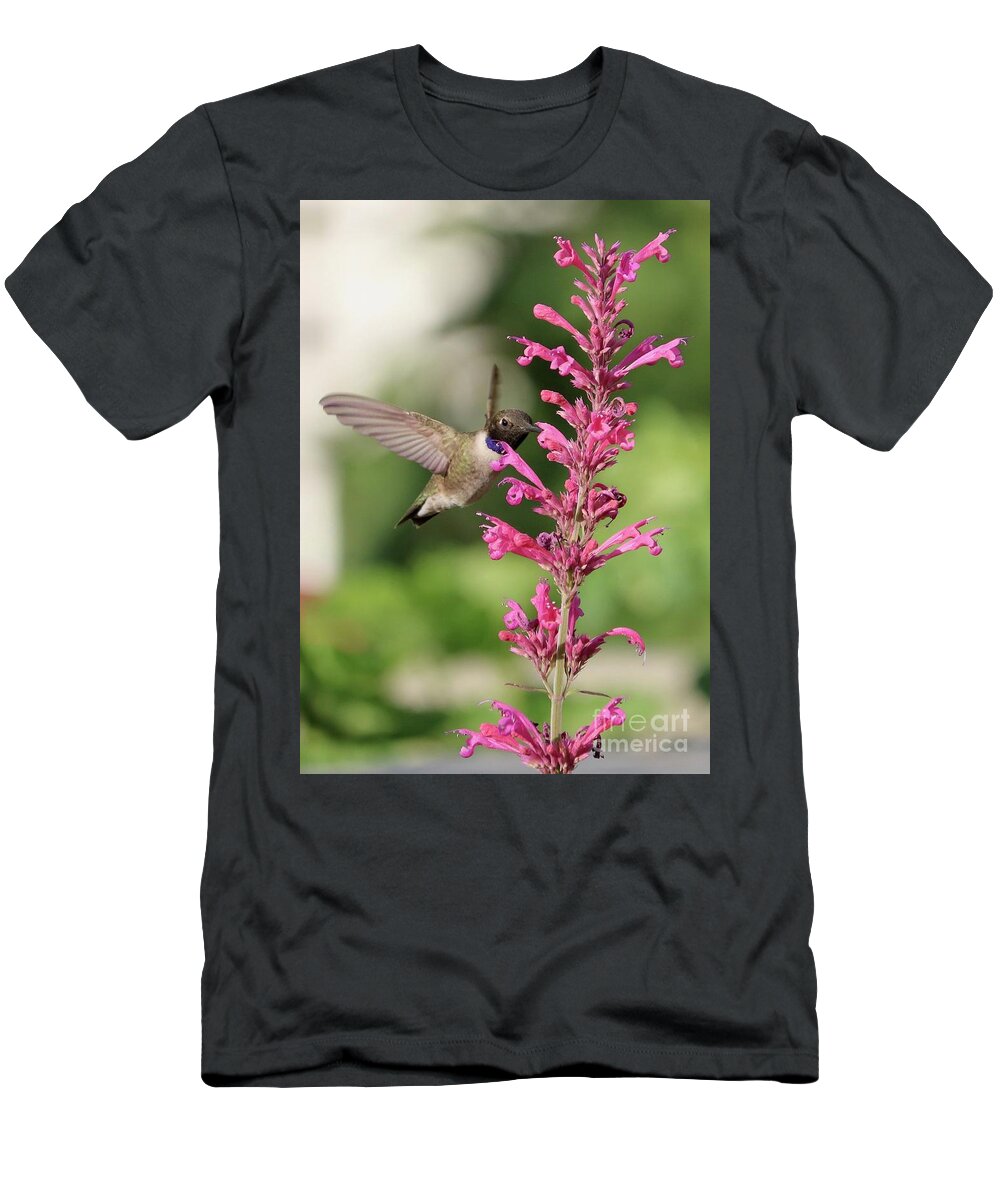 Hummingbird T-Shirt featuring the photograph Pink Agastache Hummingbird by Carol Groenen