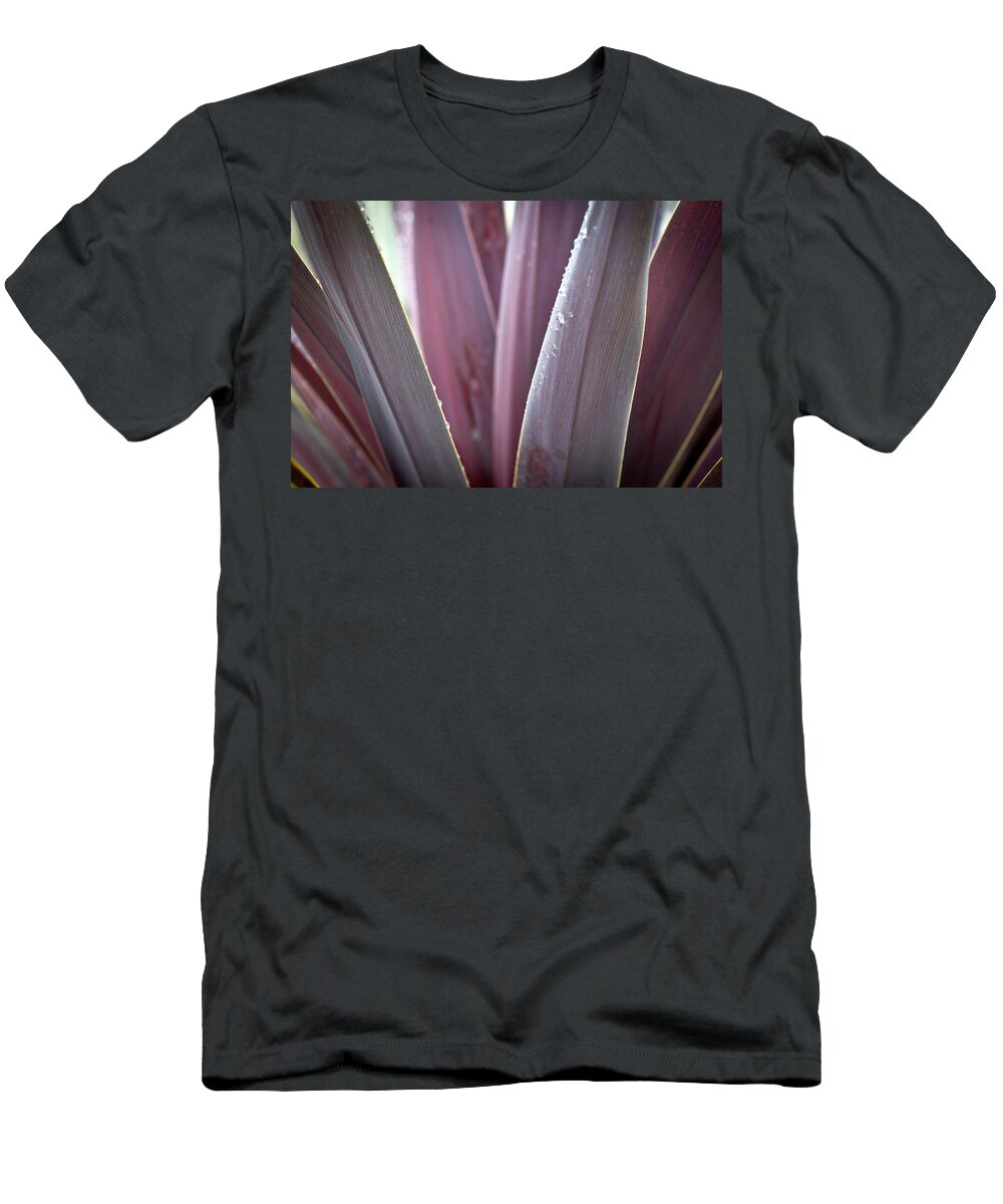 Pink Tri Color Ginger Plant Abstract T-Shirt featuring the photograph Pink Agave Leaves Abstract X101 by Rich Franco