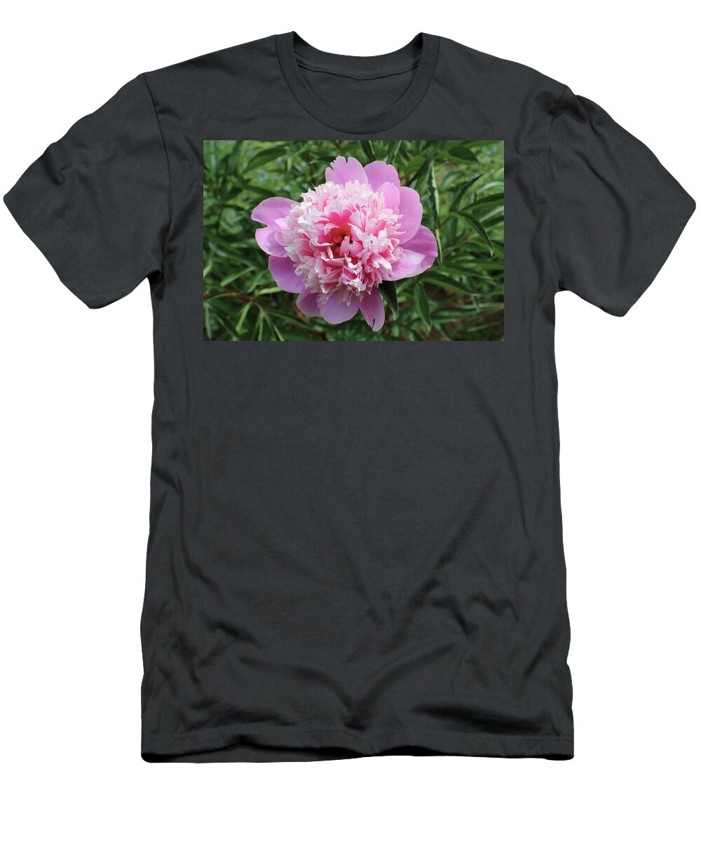 Pink T-Shirt featuring the photograph Pink and White Flower by Kenneth Pope