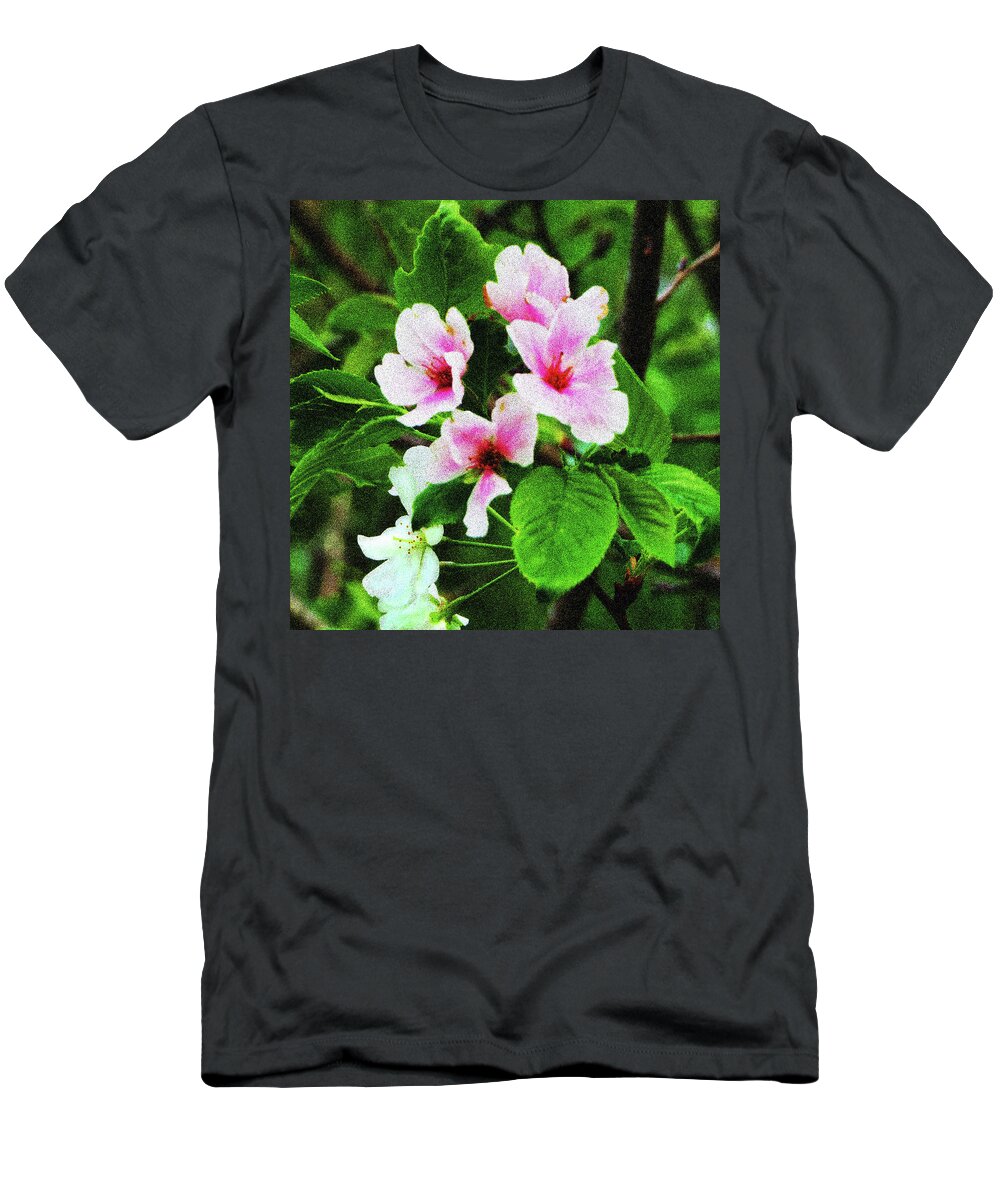 Cherry Blossoms T-Shirt featuring the photograph Pink Cherry Blossoms by Rod Whyte