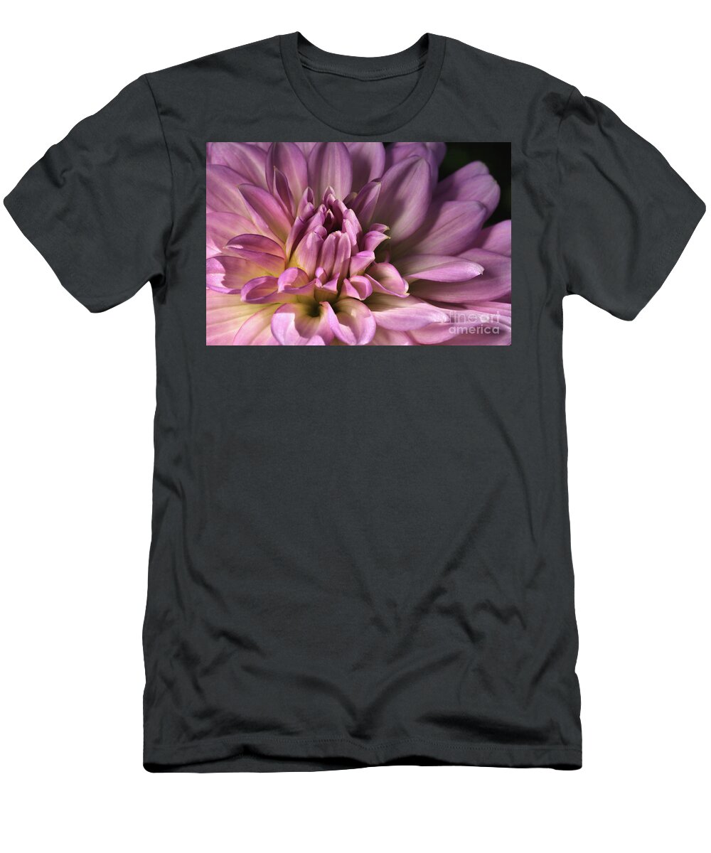 Dinner Plate Dahlia Art T-Shirt featuring the photograph Pink Dahlia's Dream by Joy Watson
