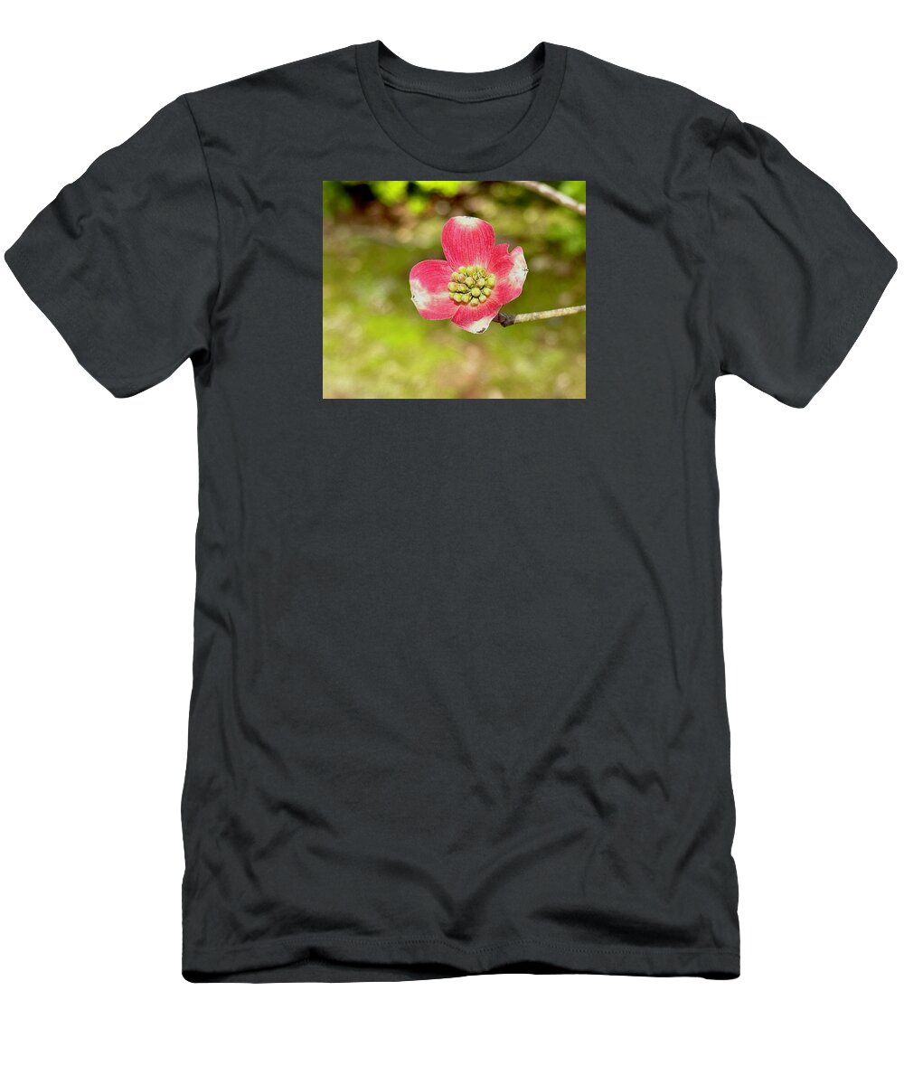 Pink Dogwood T-Shirt featuring the photograph Pink Dogwood by Bellesouth Studio