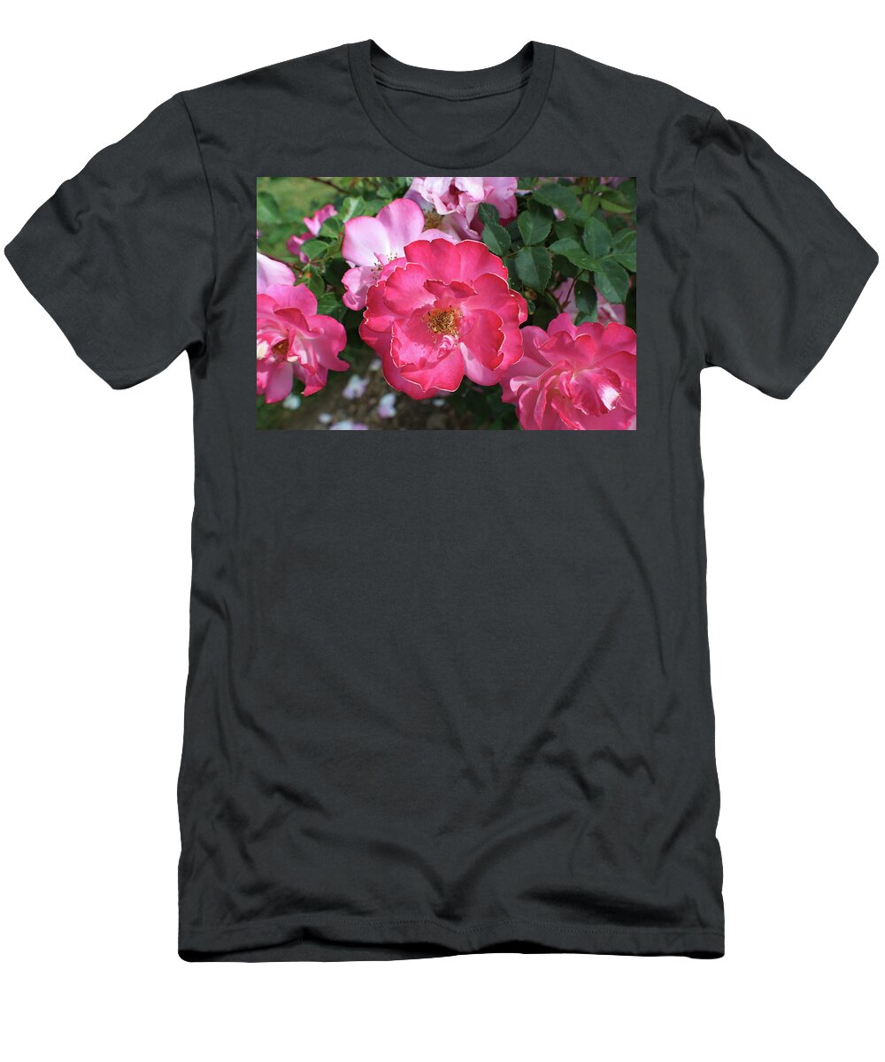 Pink T-Shirt featuring the photograph Pink Flowers by Kenneth Pope