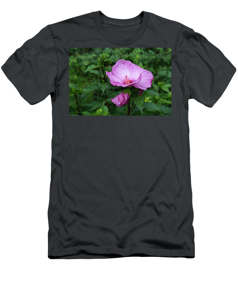 Hibiscus Rosa-sinensis T-Shirt featuring the photograph Pink Hibiscus 4-2021 by Thomas Young