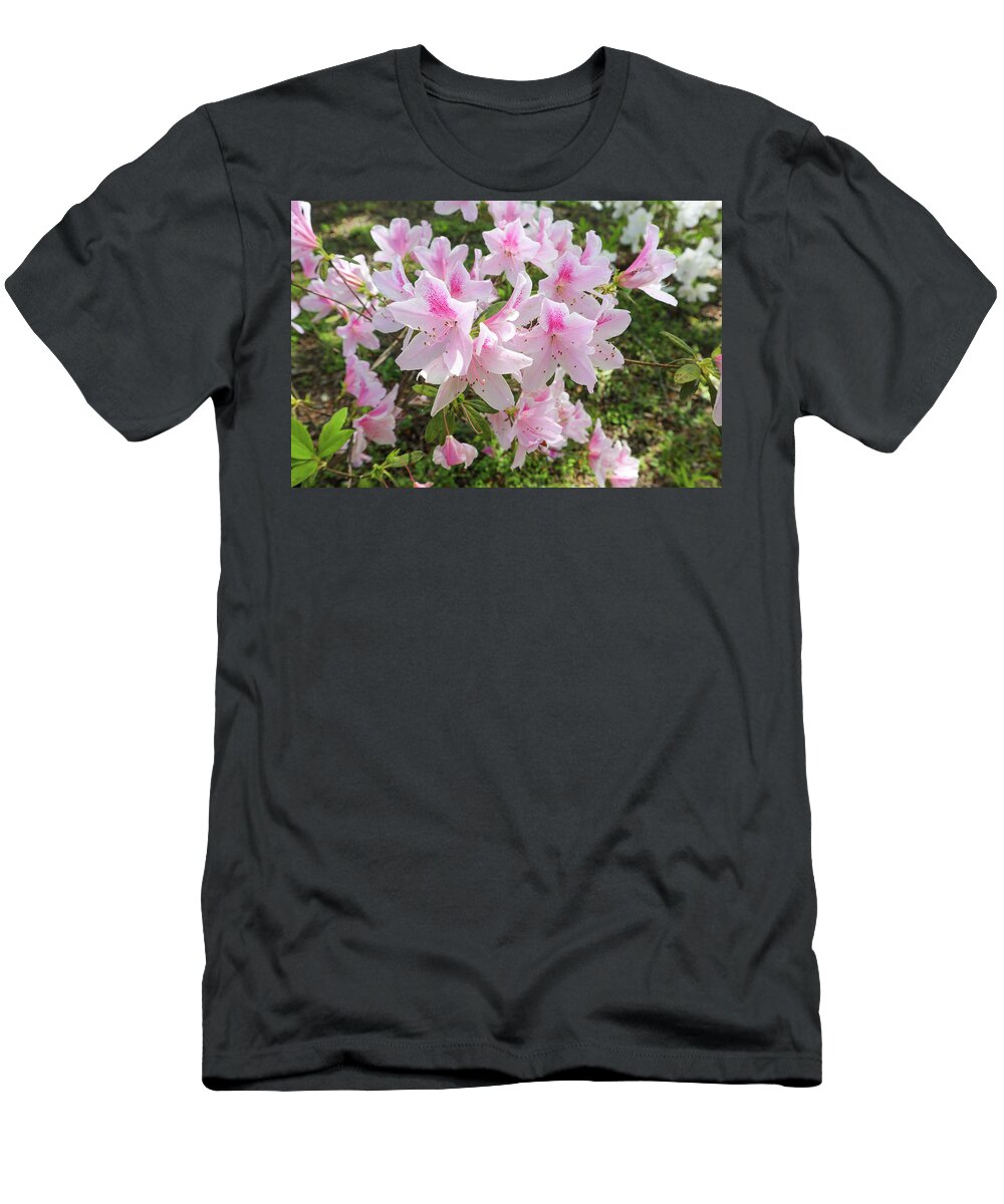 Just Some Pink And White Azalea Harmony I Recently Shot In My Backyard In Macon T-Shirt featuring the photograph Pink White Azalea Tranquility by Ed Williams