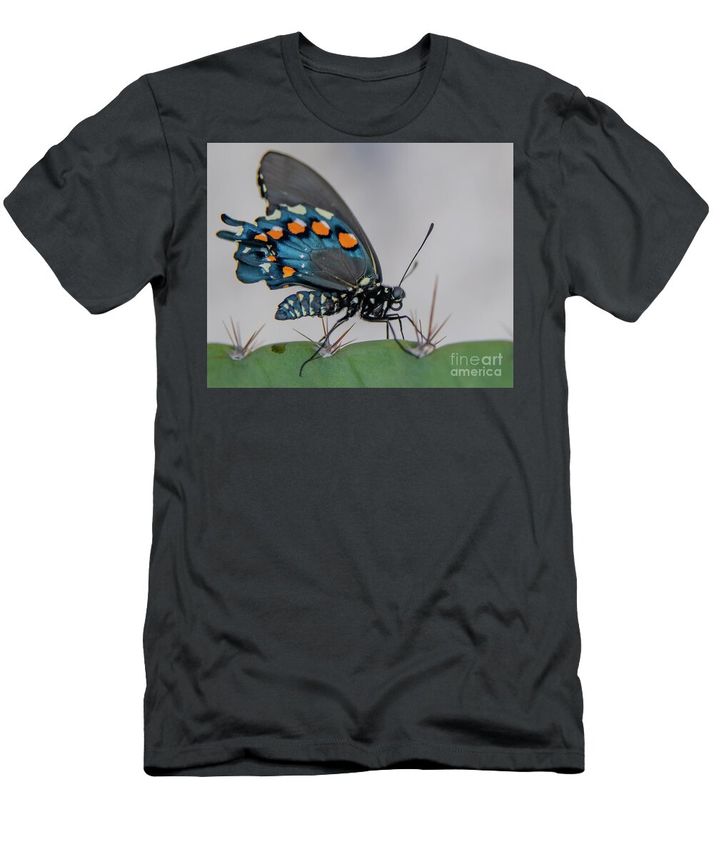 Butterfly T-Shirt featuring the photograph Pipevine Swallowtail on Cactus by Michael Tidwell