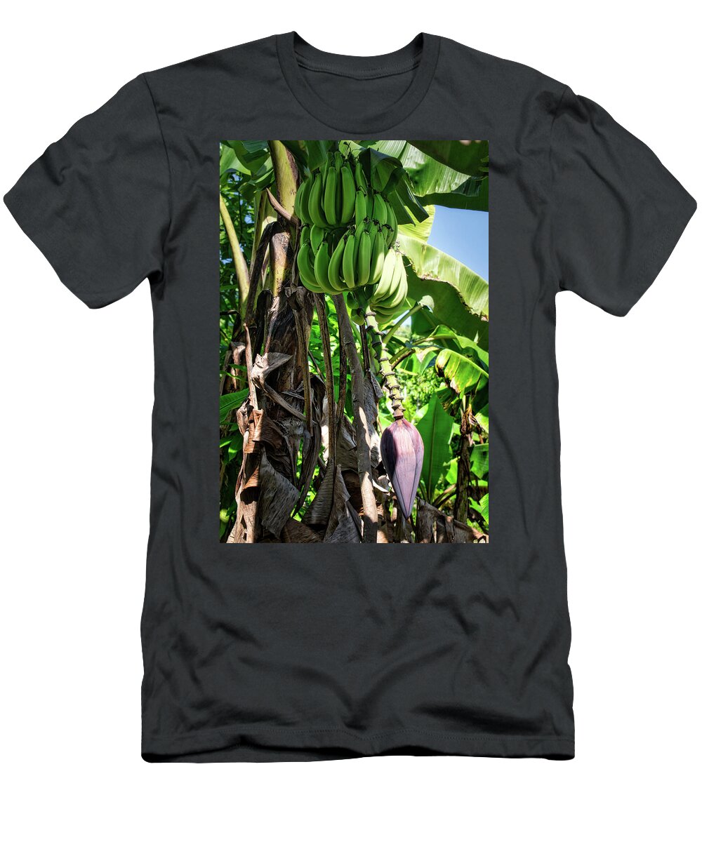 Plantain T-Shirt featuring the photograph Plantains by Portia Olaughlin