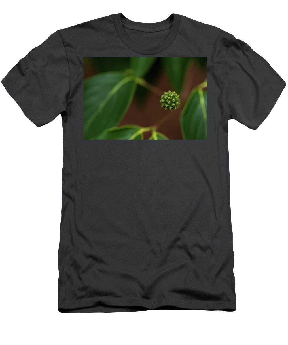 Flower T-Shirt featuring the photograph Plants by Amelia Pearn