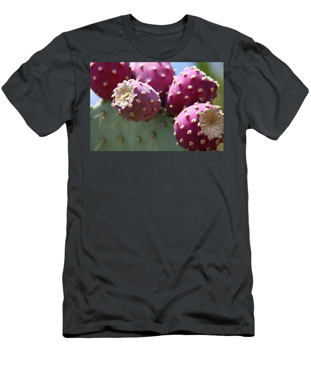 Prickly Pear T-Shirt featuring the photograph Plump Prickly Pear Fruit by Bonny Puckett