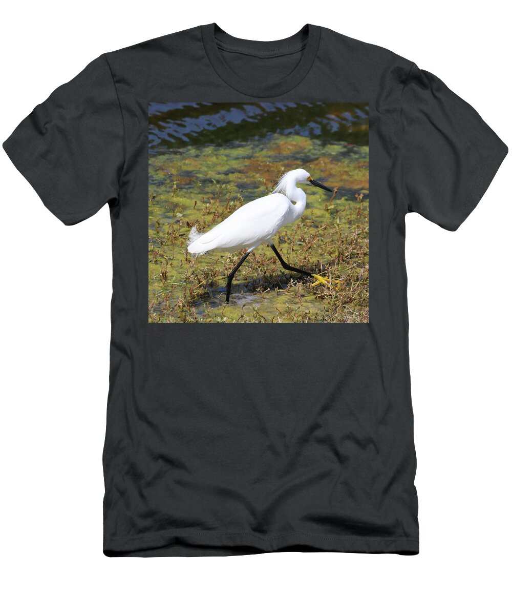 Little Egret T-Shirt featuring the photograph Portrait of a Little Egret by David T Wilkinson
