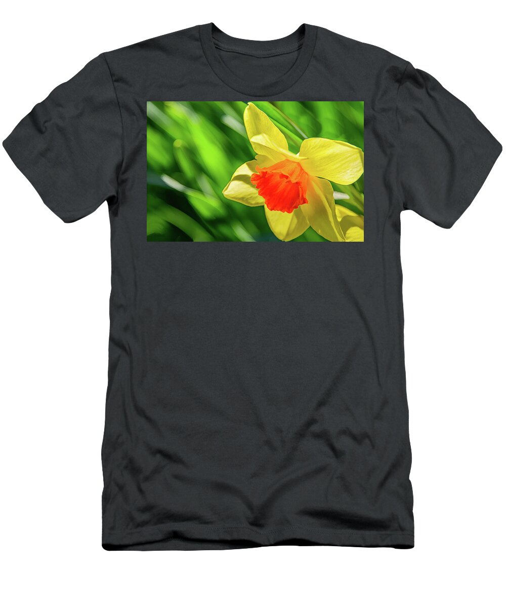 Daffodils T-Shirt featuring the photograph Precocious Daffodil by Marcy Wielfaert
