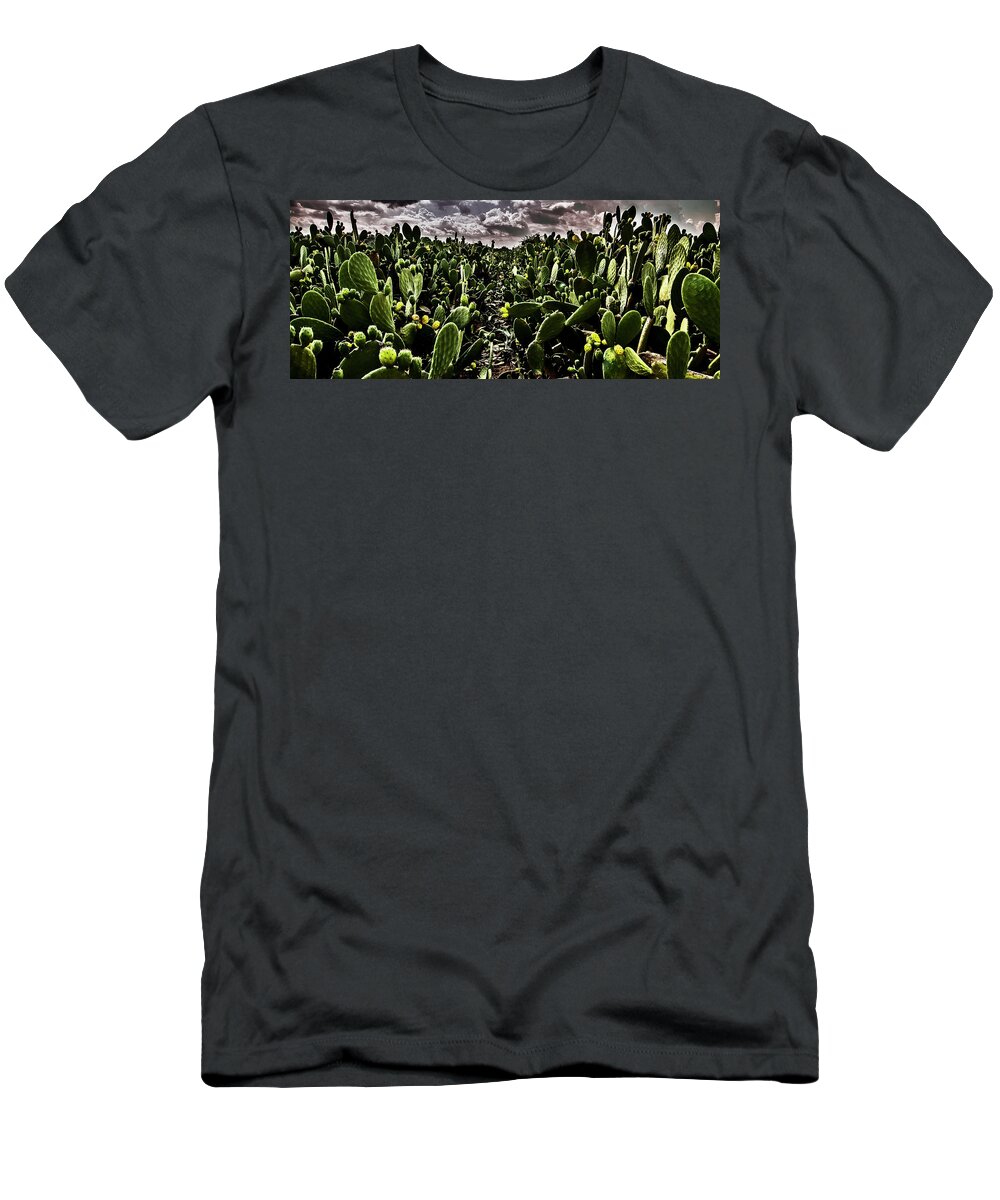 Prickly Pear T-Shirt featuring the photograph Prickly pear by Al Fio Bonina