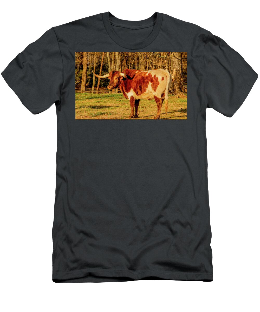 Longhorn T-Shirt featuring the photograph Pride of Texas by Marcy Wielfaert