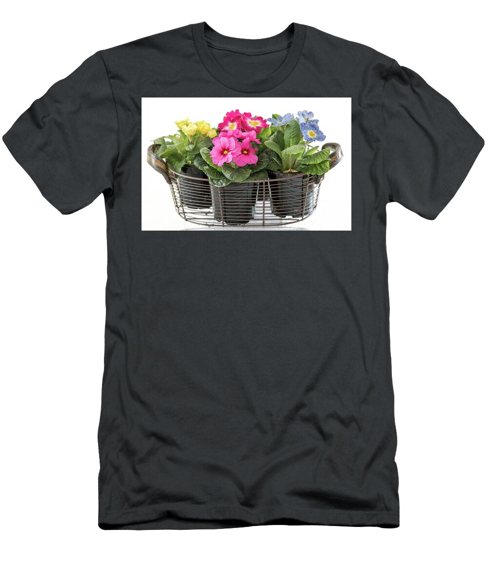 Blooms T-Shirt featuring the photograph Primrose in Wire Basket by E Faithe Lester