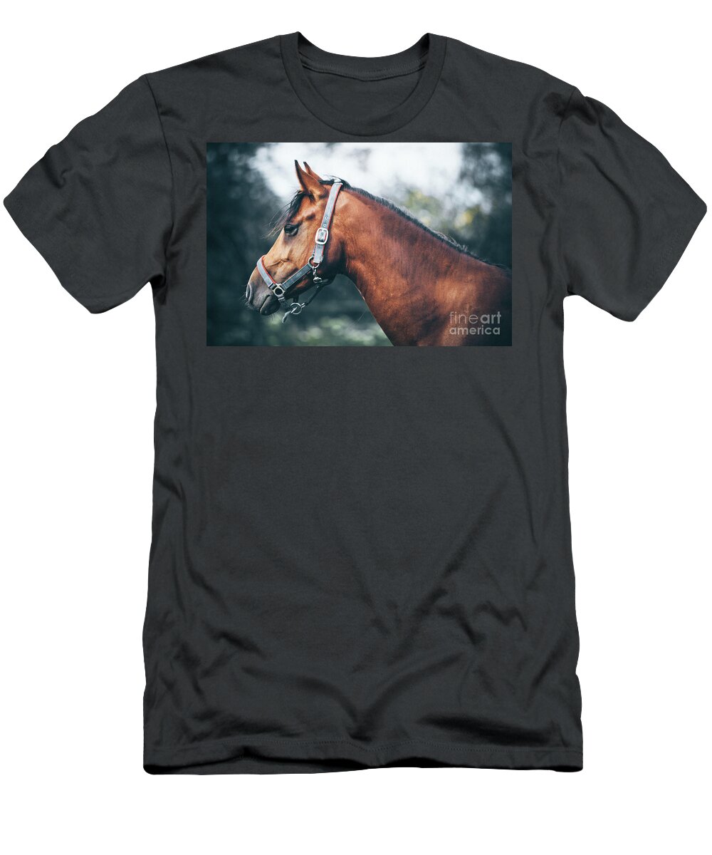 Horse T-Shirt featuring the photograph Profile view of a brown horse by Dimitar Hristov