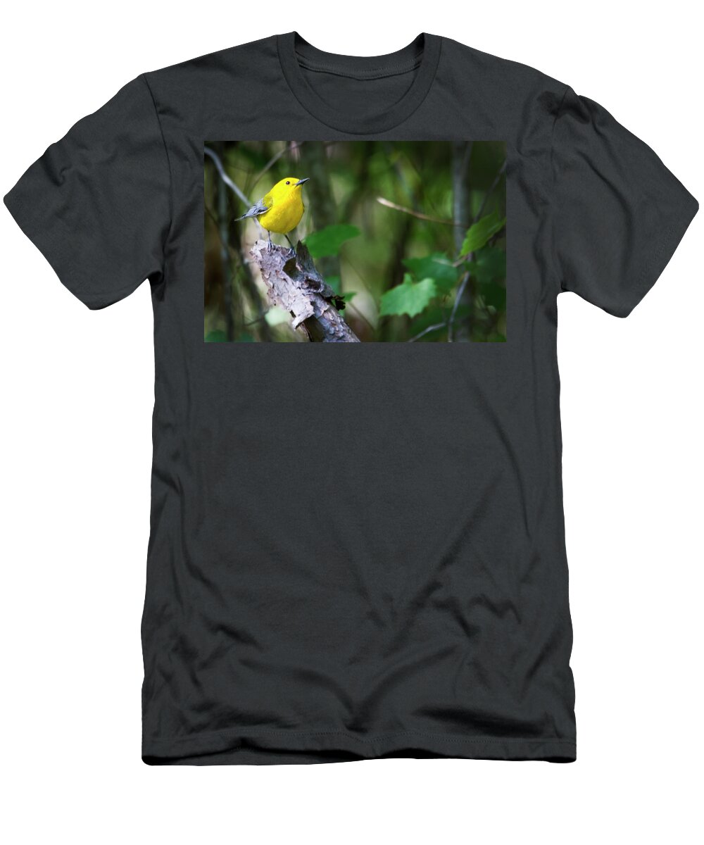 Warbler T-Shirt featuring the photograph Prothonotary Warbler 3 by Bob Decker