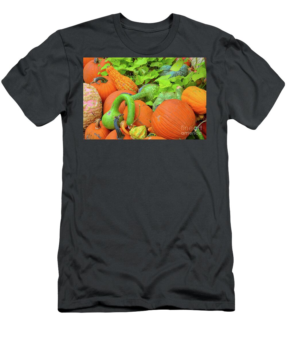 Autumn T-Shirt featuring the photograph Pumpkin Patch by Diana Mary Sharpton