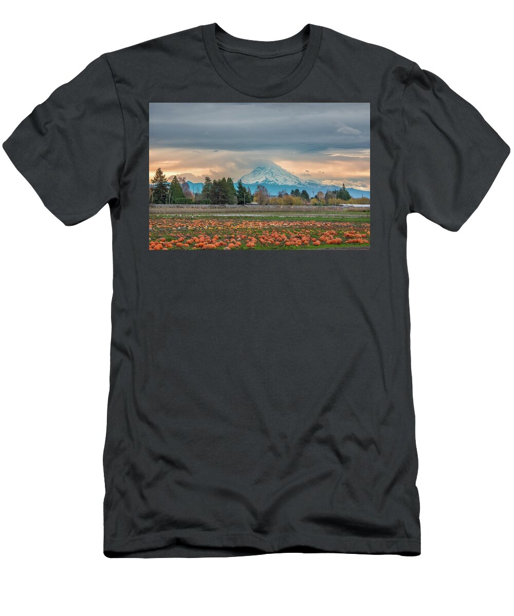 Pumpkins T-Shirt featuring the photograph Pumpkins for Rainier by Jerry Cahill