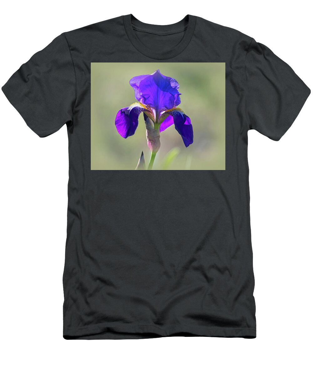 Purple Bearded Wild Iris T-Shirt featuring the photograph Purple Bearded Wild Iris by Debra Martz