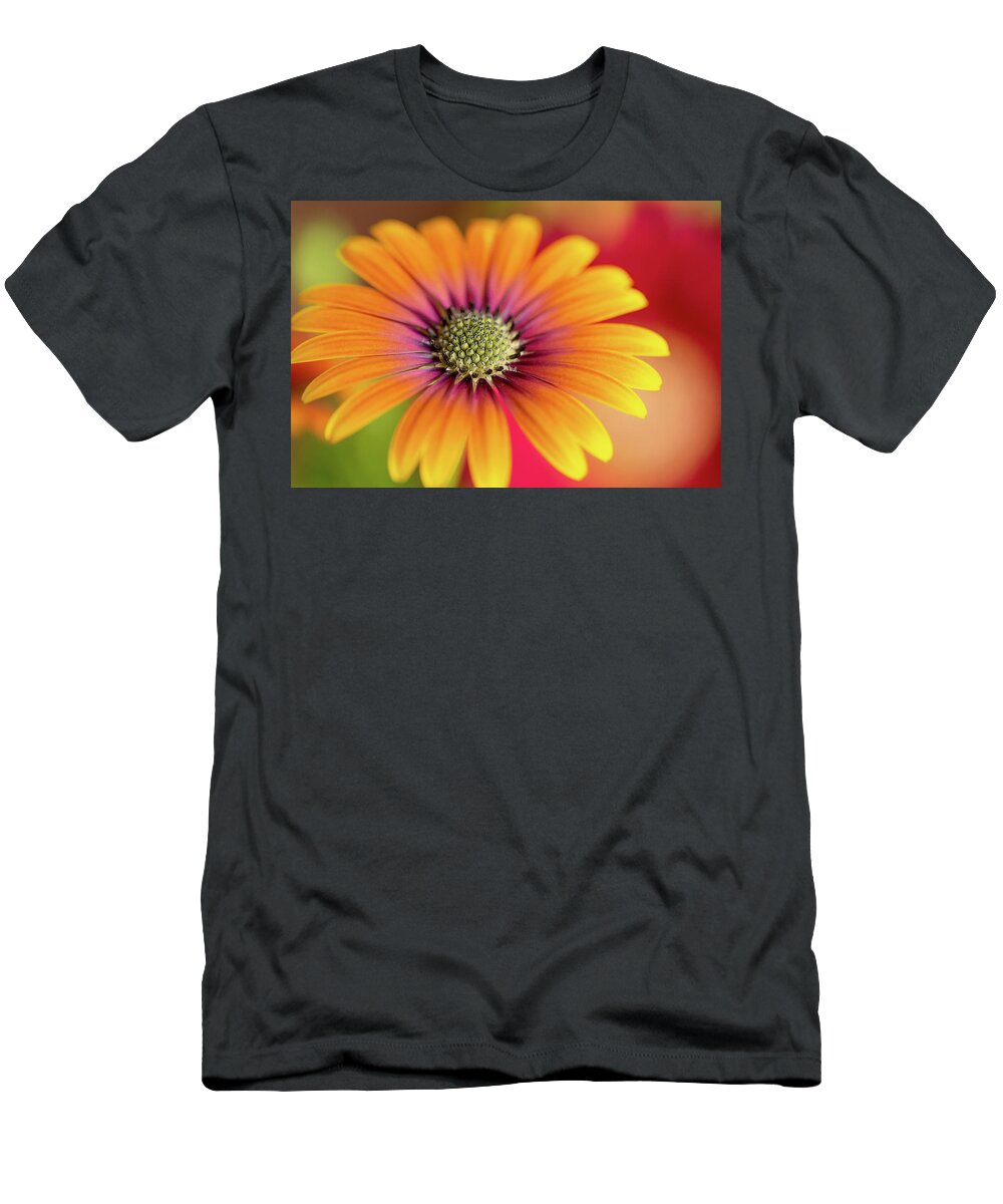 Flower T-Shirt featuring the photograph Purple Sun Mum by Bob Cournoyer
