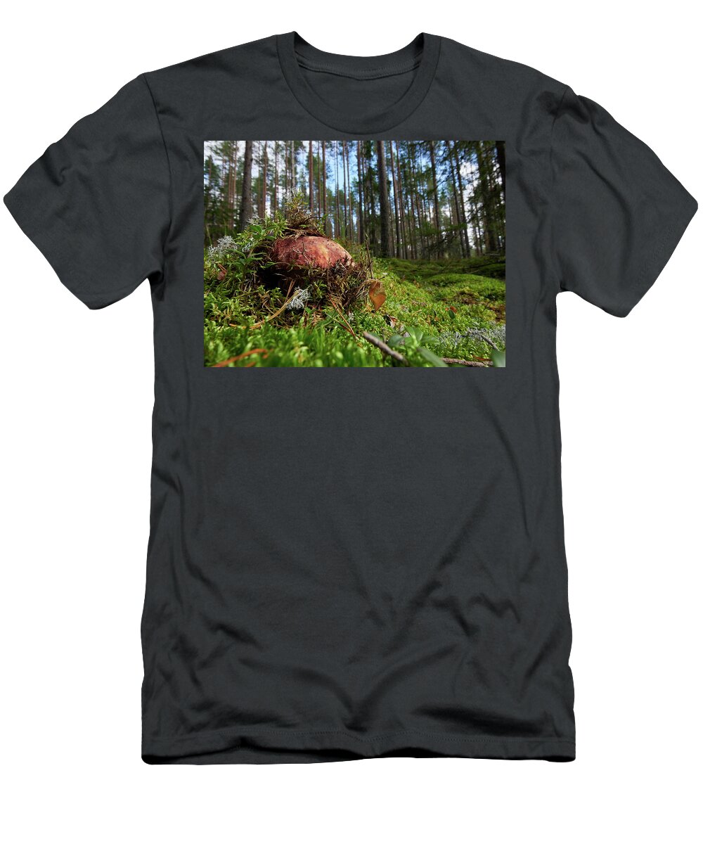 Boletus Pinophilus T-Shirt featuring the photograph Pushing up from the ground. Pine bolete by Jouko Lehto