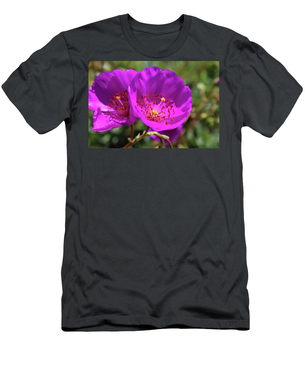 Flowers T-Shirt featuring the photograph Pussypaws on the Beach by Marcus Jones