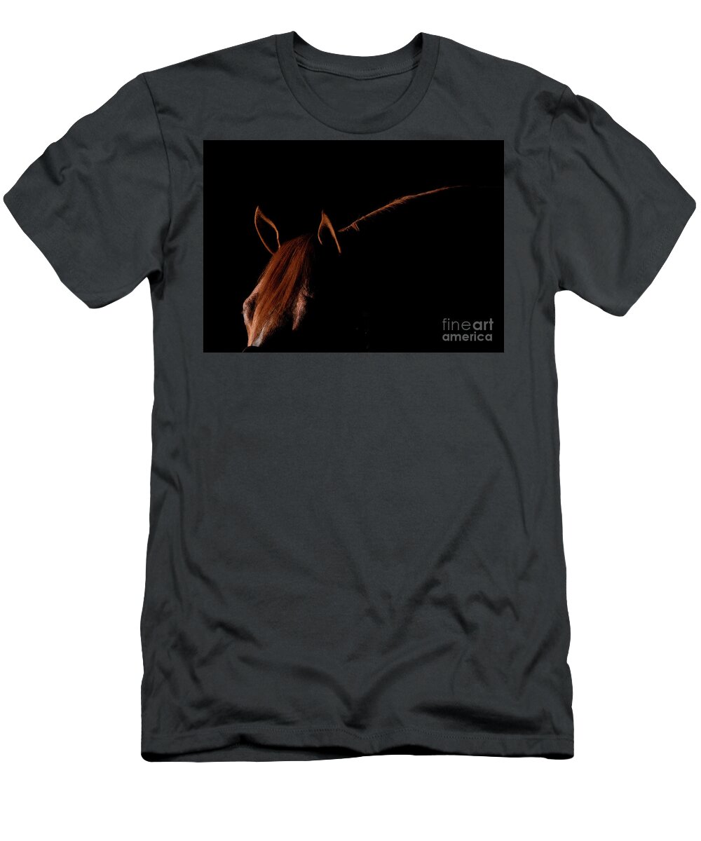 Quarter Horse T-Shirt featuring the photograph Quarter Horse Stallion Ears by Terri Cage