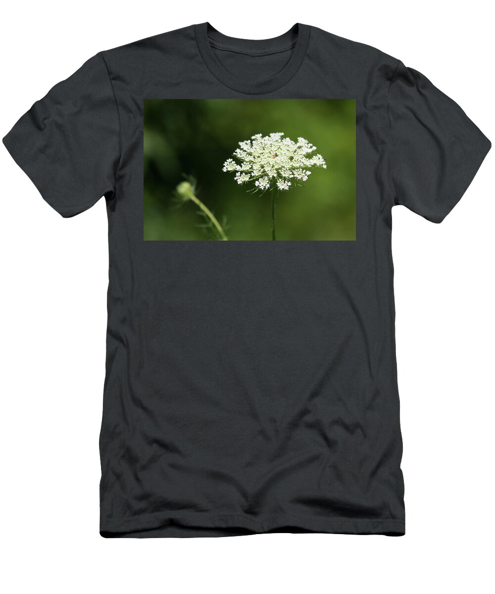 Flower T-Shirt featuring the photograph Queen Ann's Lace Flower by Amelia Pearn