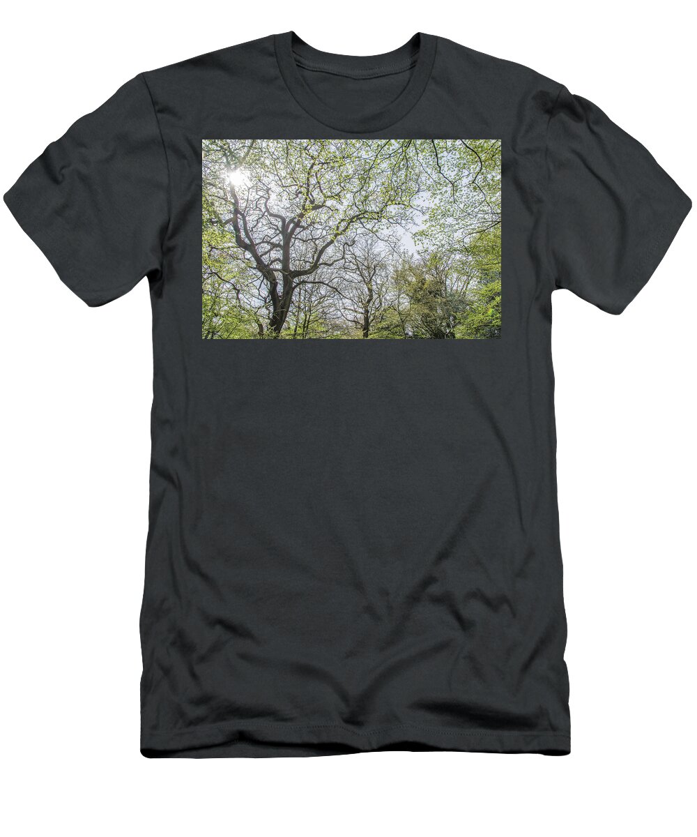 Queen's Wood T-Shirt featuring the photograph Queen's Wood Trees Spring 3 by Edmund Peston