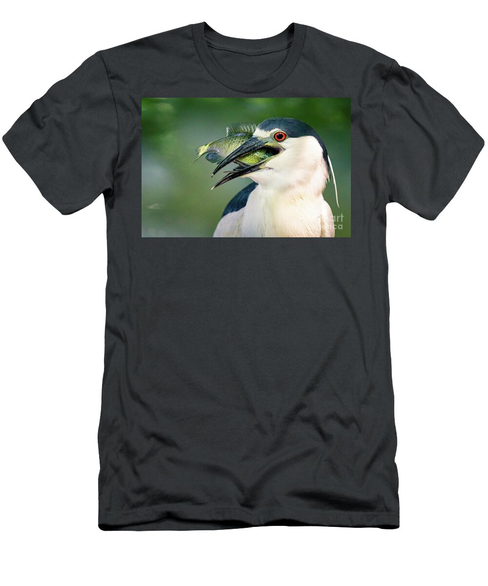 Heron T-Shirt featuring the photograph Quite a Mouthful by Alyssa Tumale