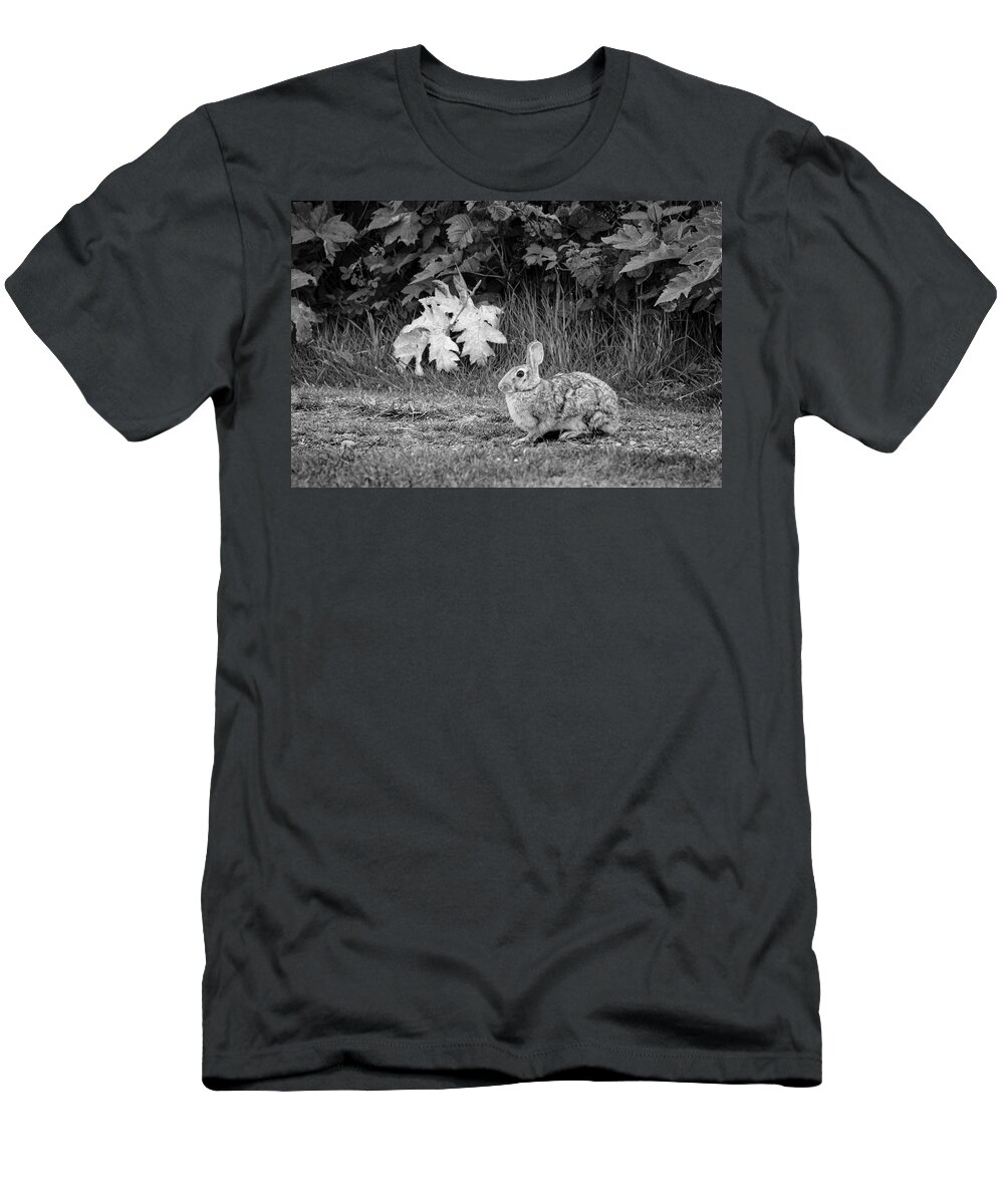 Wild Animal T-Shirt featuring the photograph Rabbit and Leaves by Mary Lee Dereske