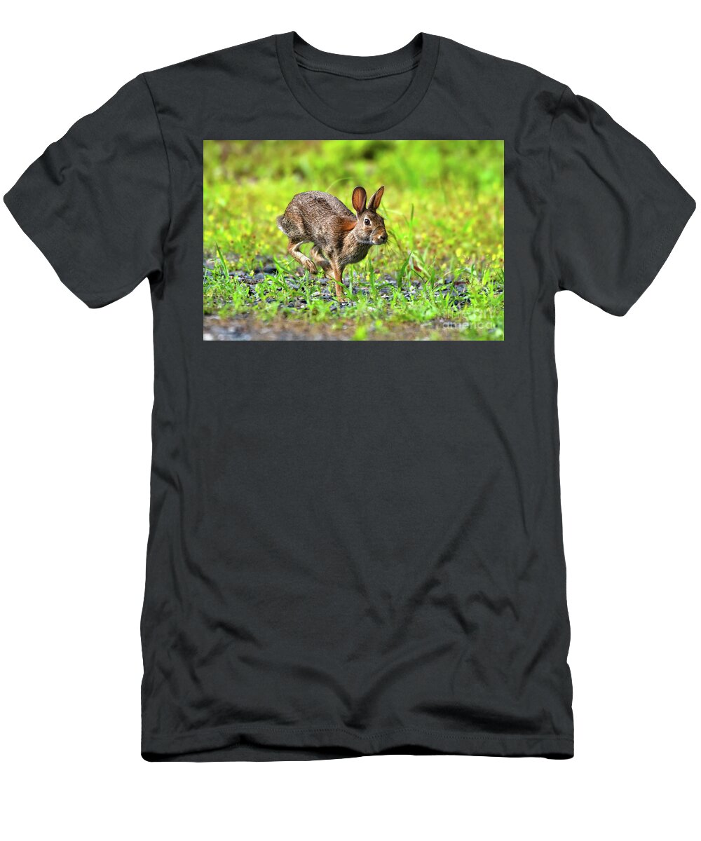 Cottontail Rabbit T-Shirt featuring the photograph Rabbit mid-hop by Rehna George