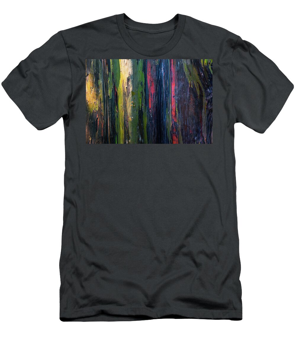Rainbow T-Shirt featuring the photograph Rainbow Forest by Ryan Manuel