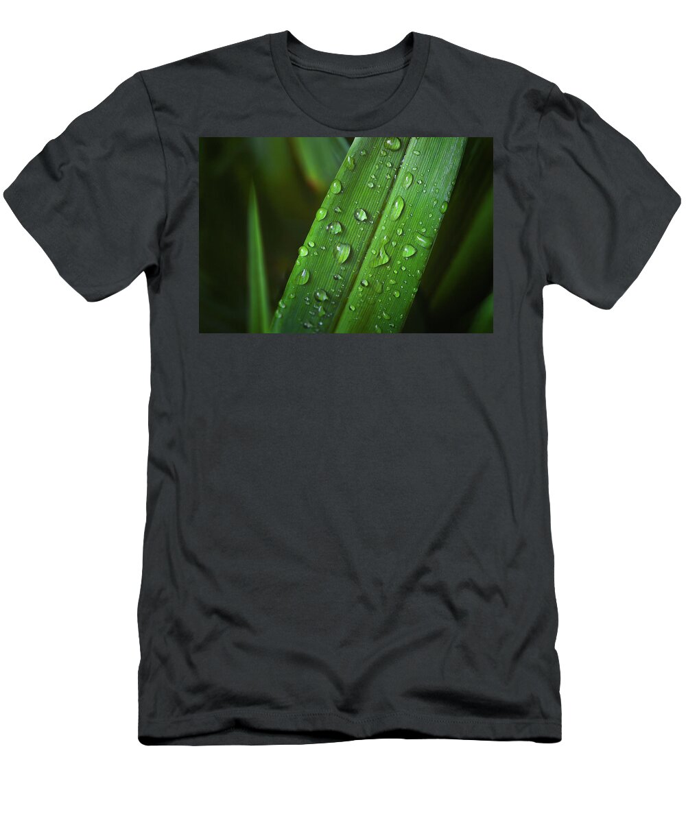 Drops T-Shirt featuring the photograph Raindrops by Scott Norris