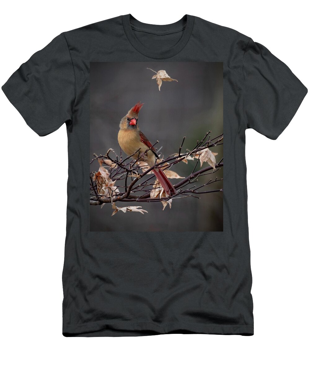 Cardinal T-Shirt featuring the photograph Rainy Day Cardinal by Mindy Musick King