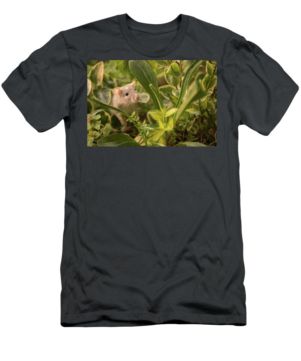 Rat T-Shirt featuring the photograph Rat in the Garden by Naomi Maya