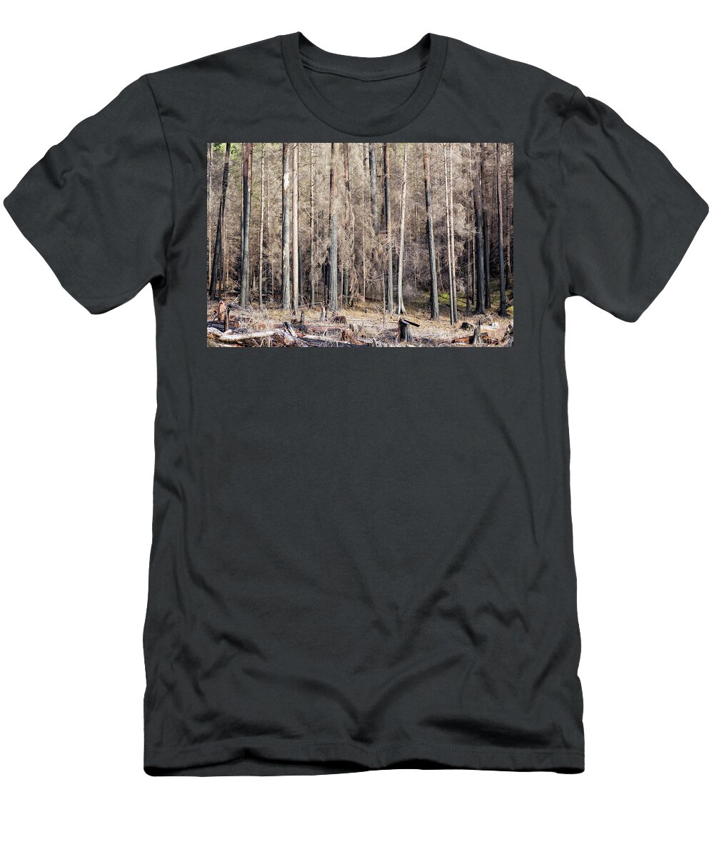 Burnt T-Shirt featuring the photograph Ravaged - Start of French Pete Creek Trail by Belinda Greb