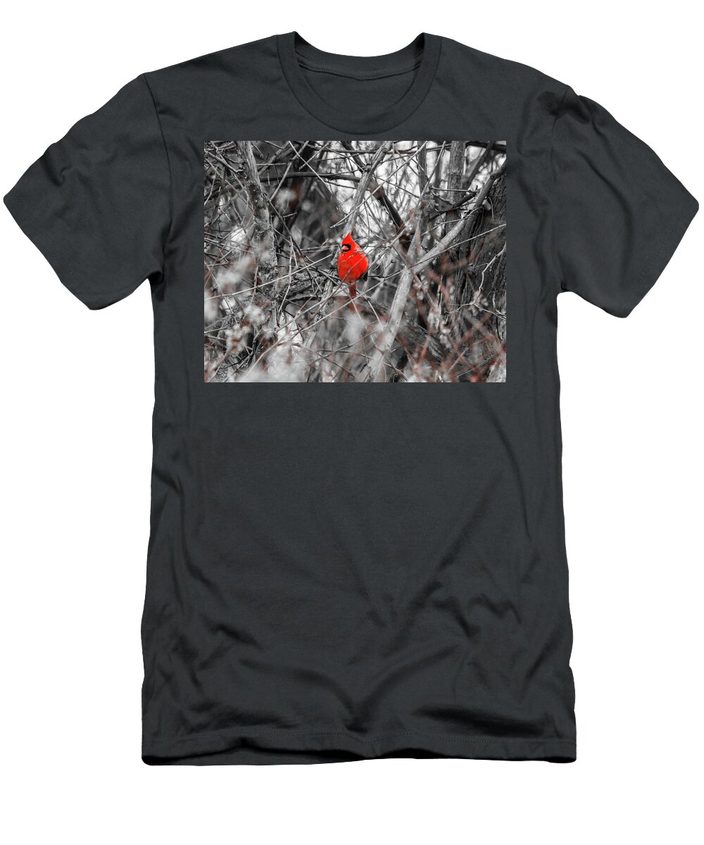 Deer Creek 22 T-Shirt featuring the photograph Ray Of Hope by Kevin Dietrich