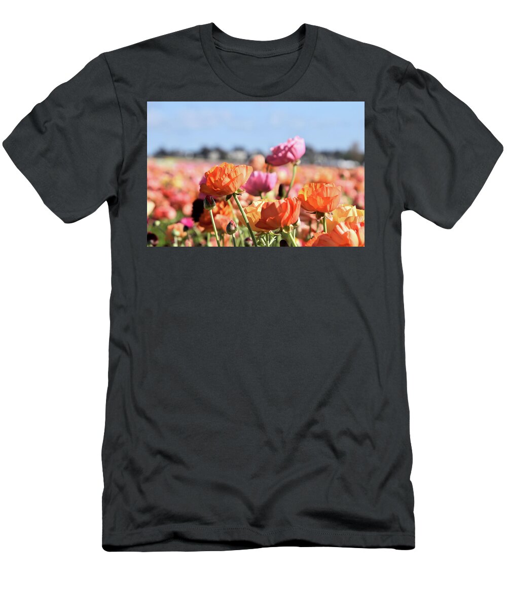 Ranunculus T-Shirt featuring the photograph Reaching for the Sky by Christina McGoran