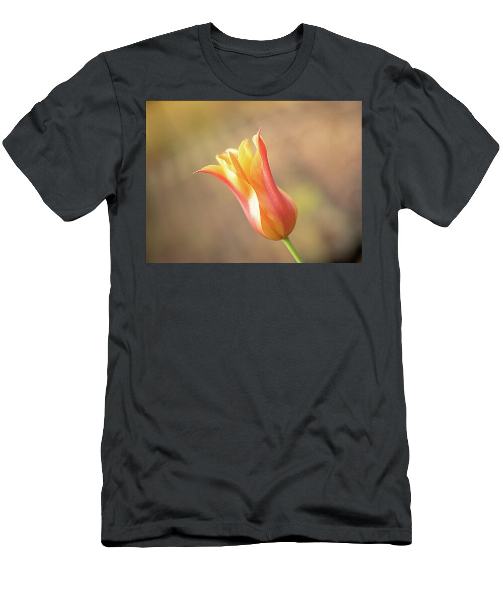 Spring T-Shirt featuring the photograph Red and yellow tulip by Average Images