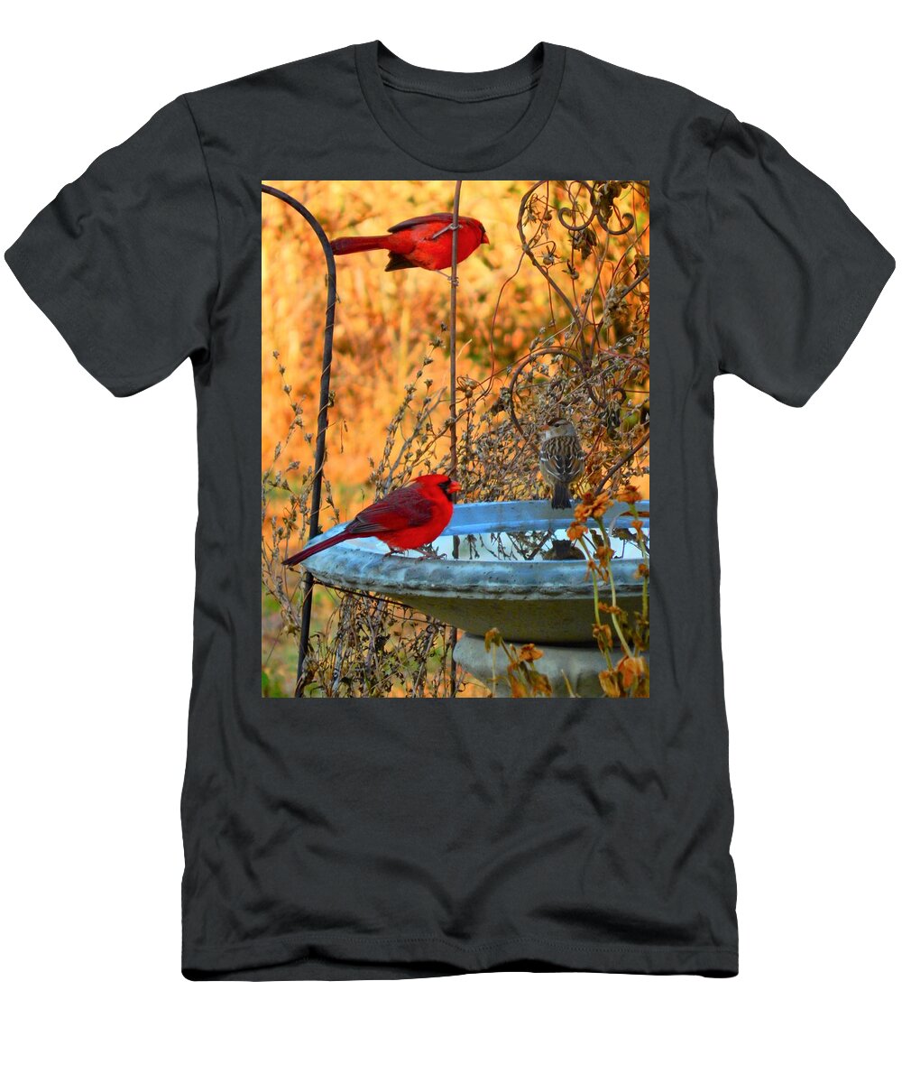 Cardinal T-Shirt featuring the photograph Red Bird Morning by Virginia White