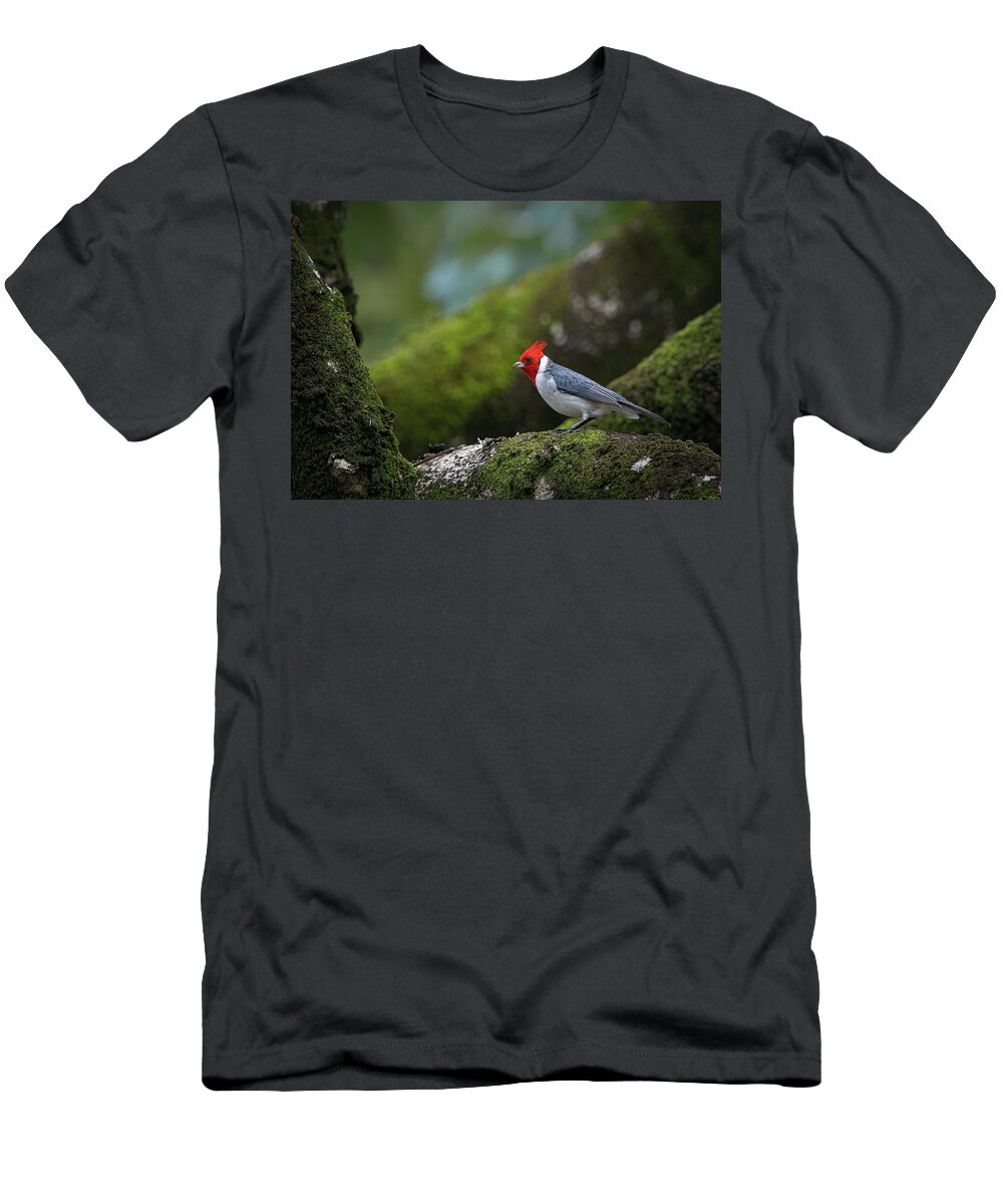 Red Crested Cardinal T-Shirt featuring the photograph Red Crested Cardinal by Rick Mosher