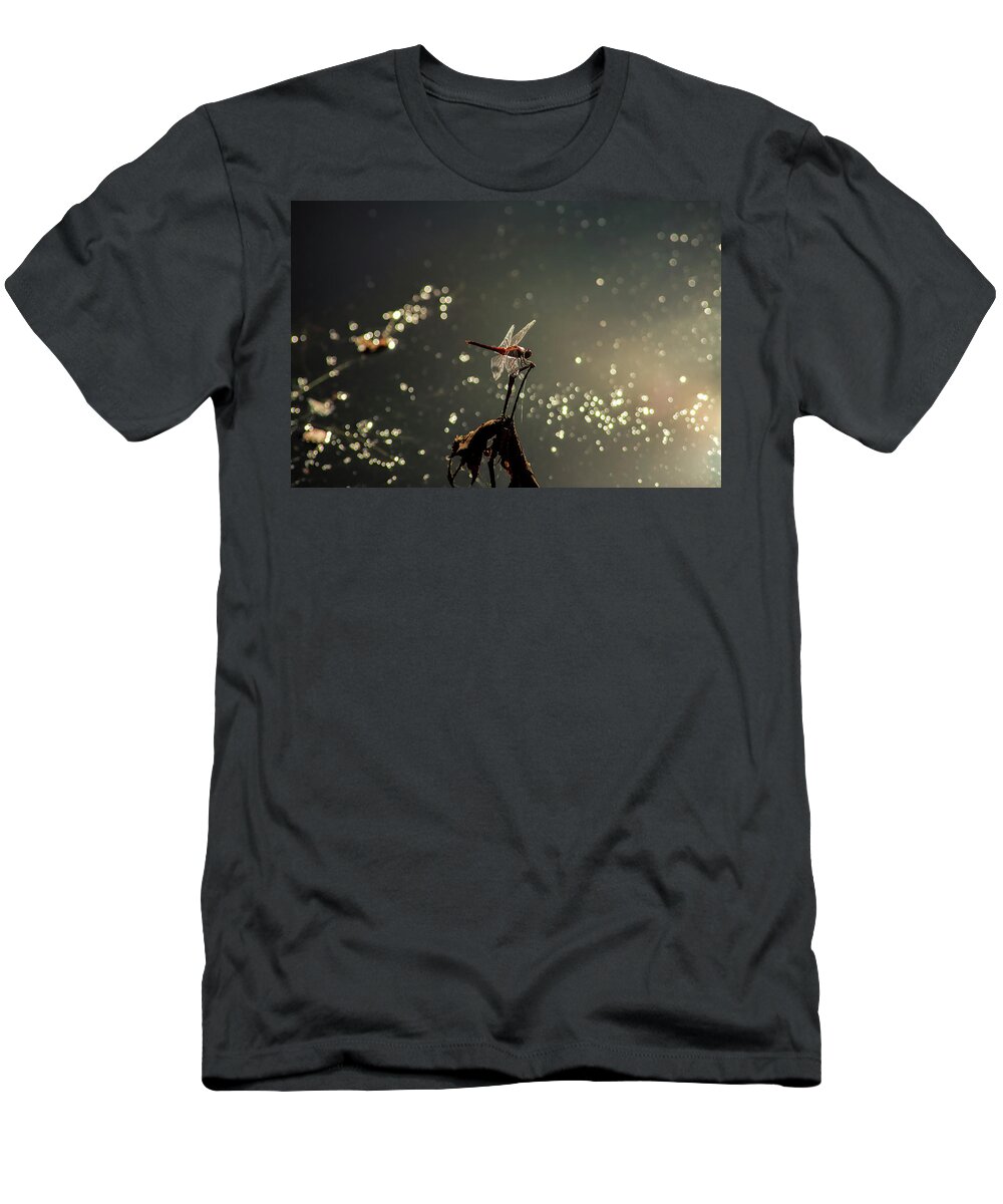 Insects T-Shirt featuring the photograph Red Dragon by Marcus Jones