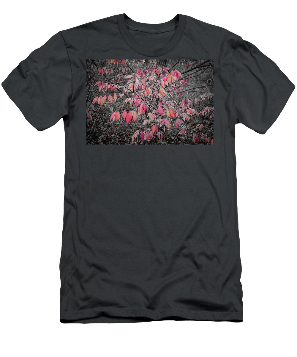 Red Leaves Woods Waukegan Illinois B&w Isolate Color Autumn Fall T-Shirt featuring the photograph Red Leaves in the Woods - Waukegan, Illinois by David Morehead