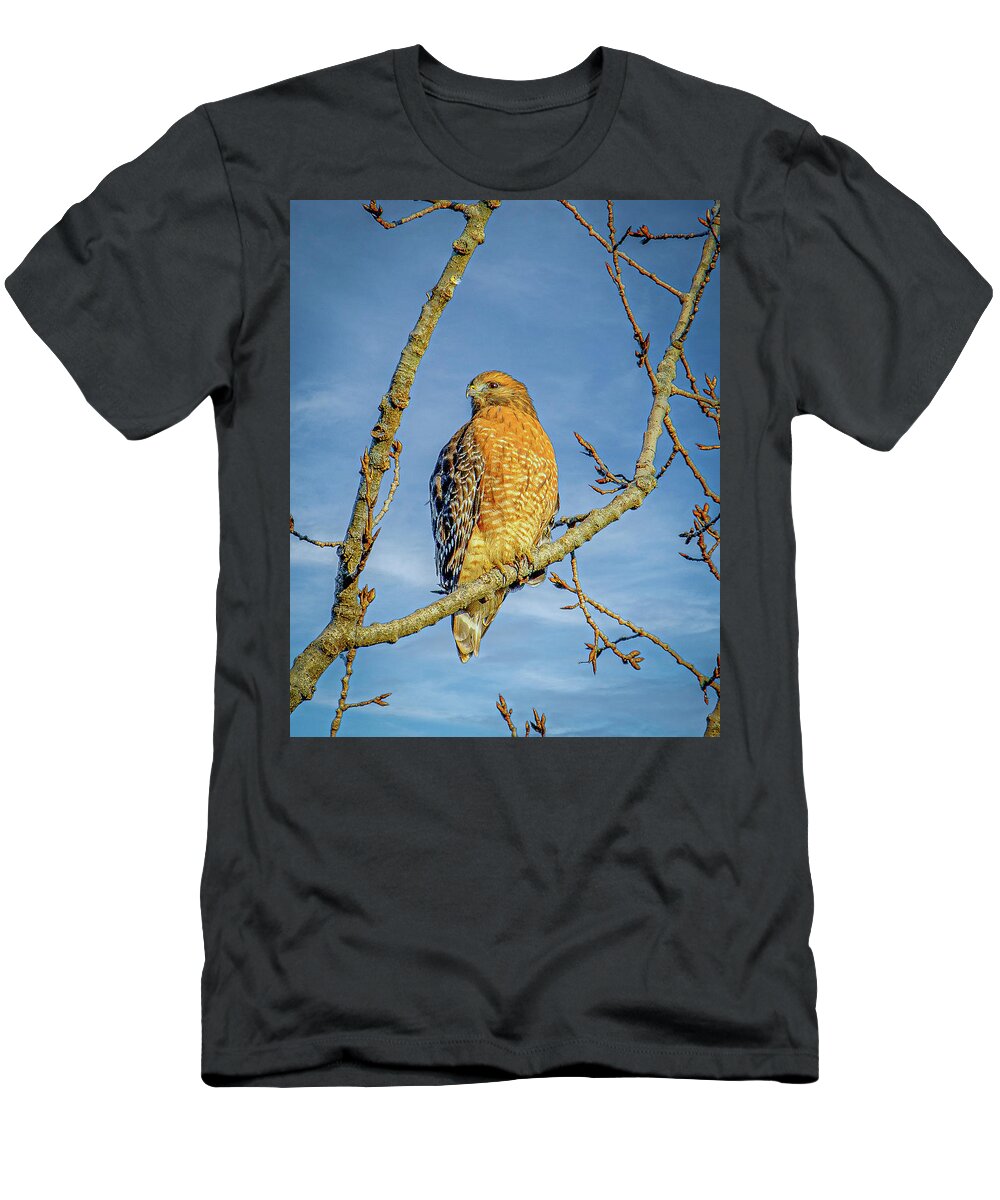 Carmel T-Shirt featuring the photograph Red Shouldered Hawk by Frank Mari