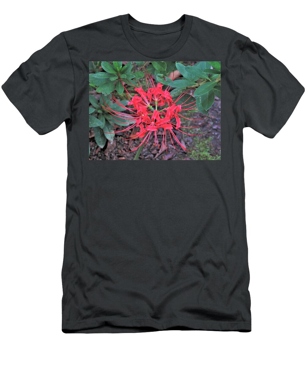Flower T-Shirt featuring the photograph Red Spider Lily Stare by Ed Williams