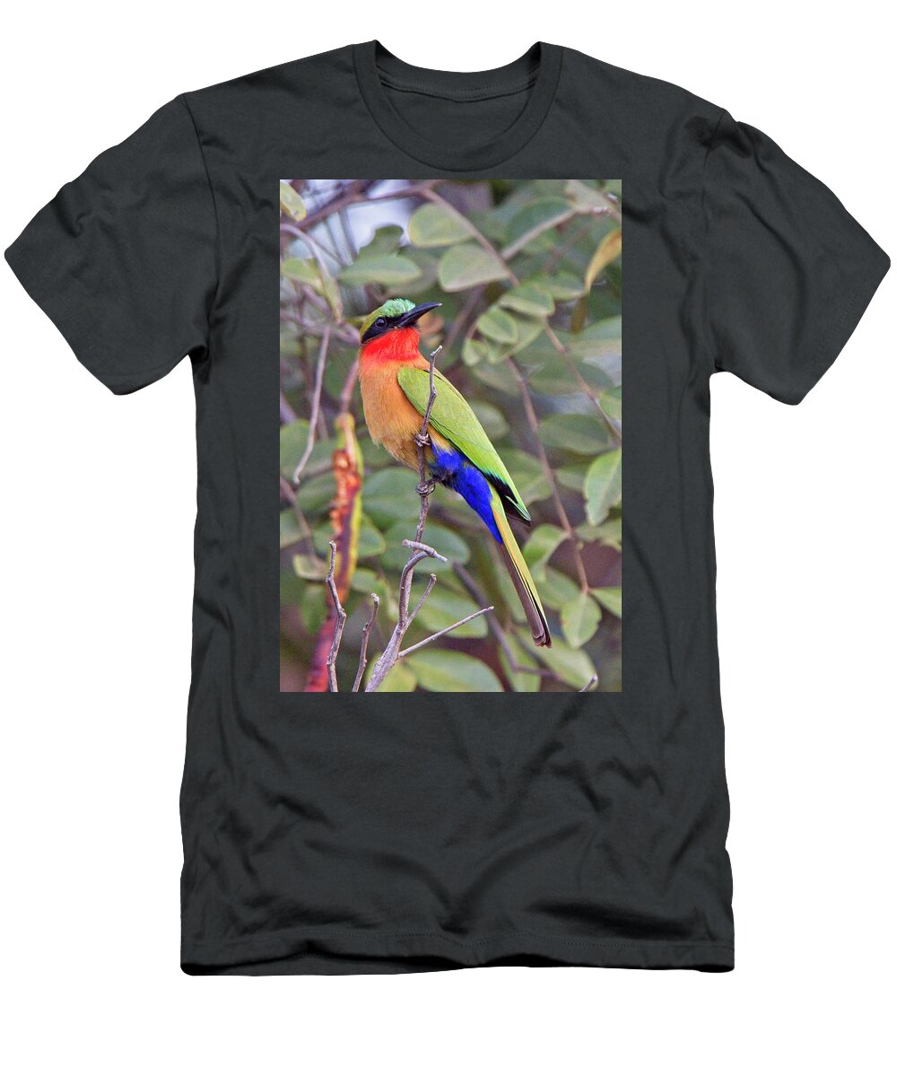 Bush T-Shirt featuring the photograph Red-throated Bee-eater, Merops bulocki by Tony Mills