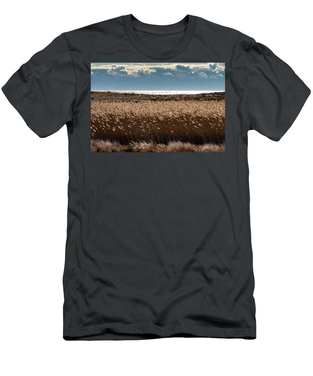 Beach T-Shirt featuring the photograph Reeds by the Beach by John Randazzo