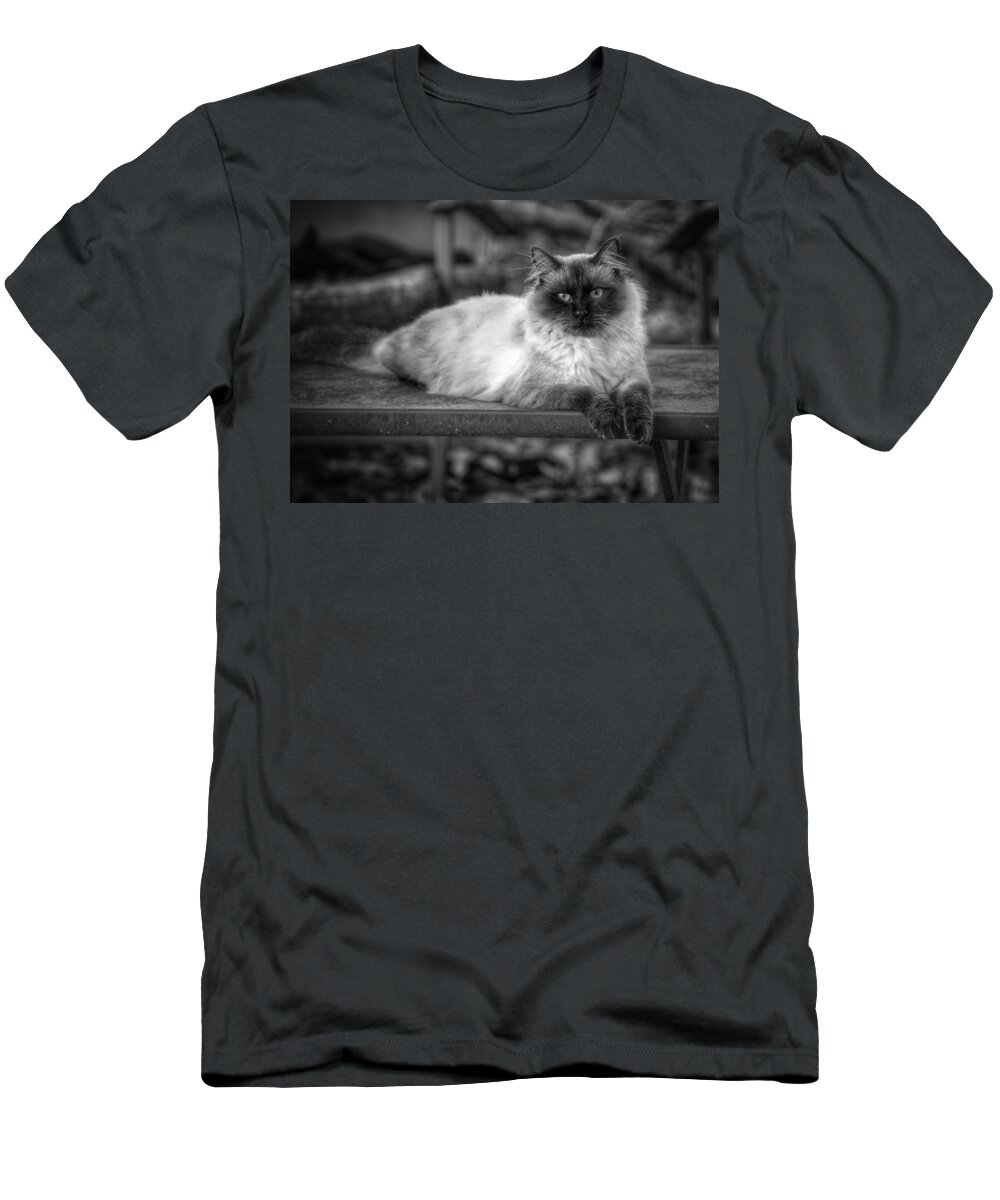 Cat T-Shirt featuring the photograph Regal by DArcy Evans