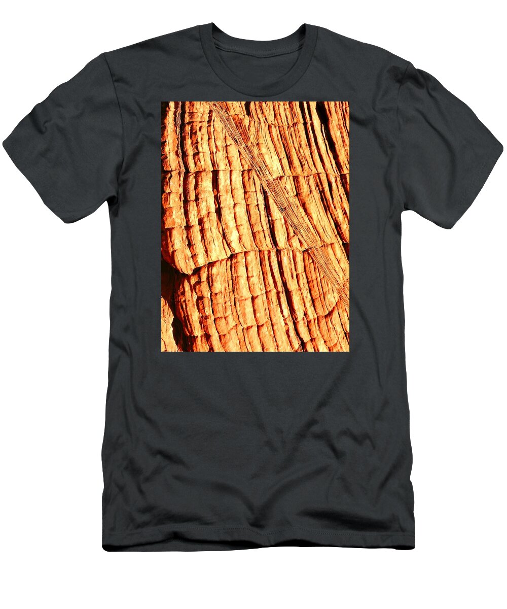 Ancient T-Shirt featuring the photograph Relic by Dietmar Scherf